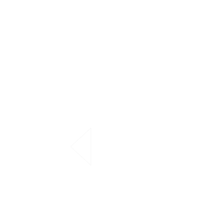 Metamorphosa Metamorphosa